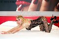 Foto Annunci Girl Foggia Alexandra Miss - 45